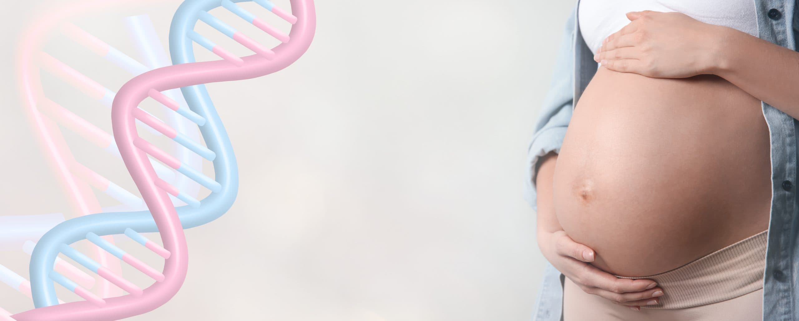 Embarazo y test prenatal no invasivo (NIPT) por análisis de ADN