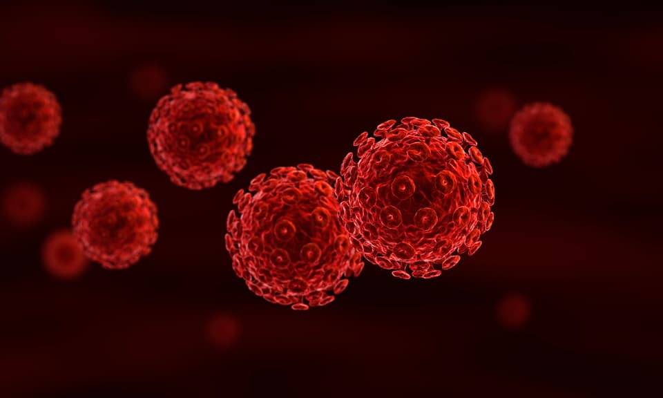 La Importancia de la Medición de la Carga Viral del VIH en el Manejo Clínico