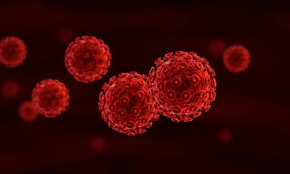 Carga viral del HIV: qué mide y para qué sirve hoy