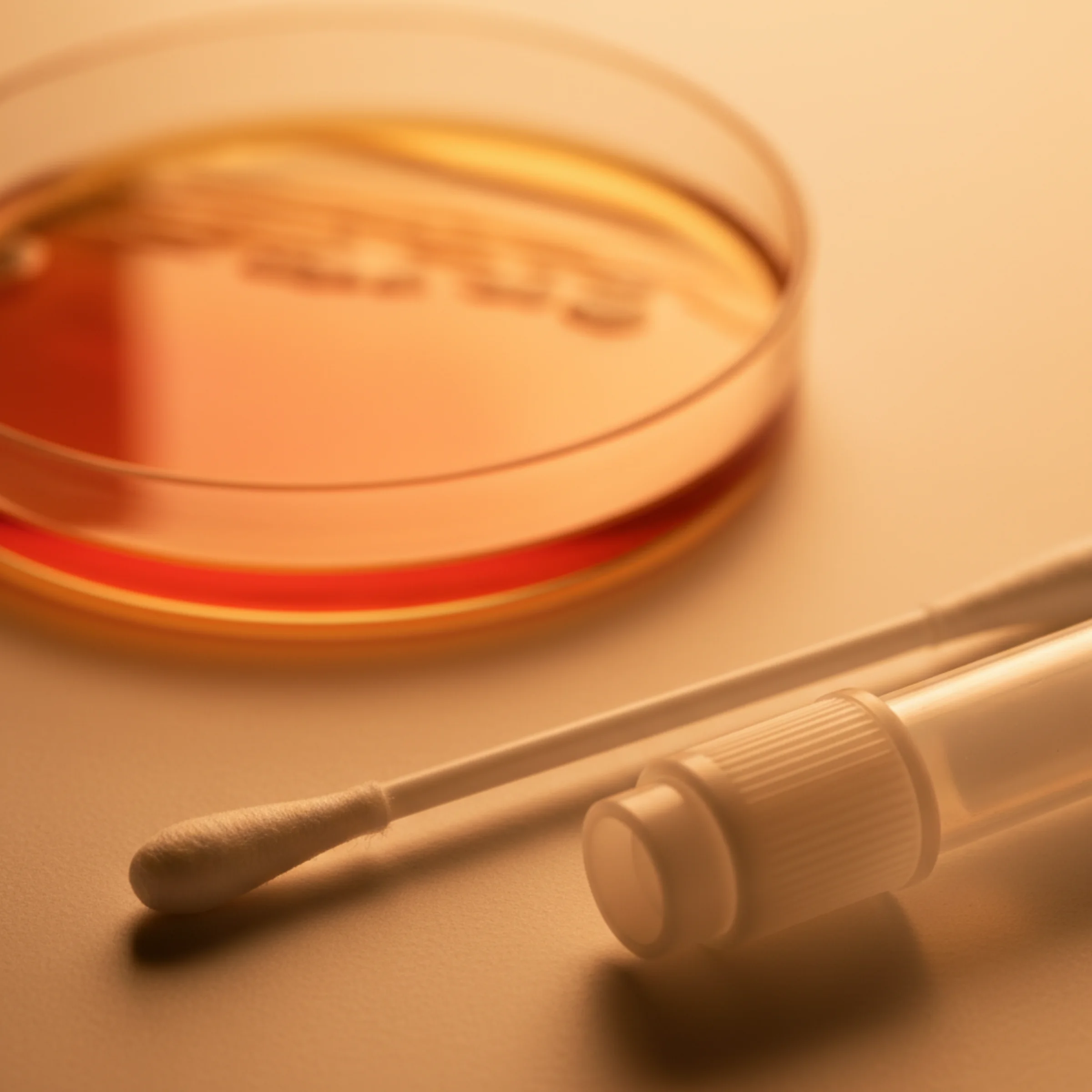 Cultivo de clamidia, micoplasma y ureaplasma (mujer, endocervical): placa de agar sangre dorado-rojizo con hisopo estéril y tubo de transporte, luz ámbar cálida.